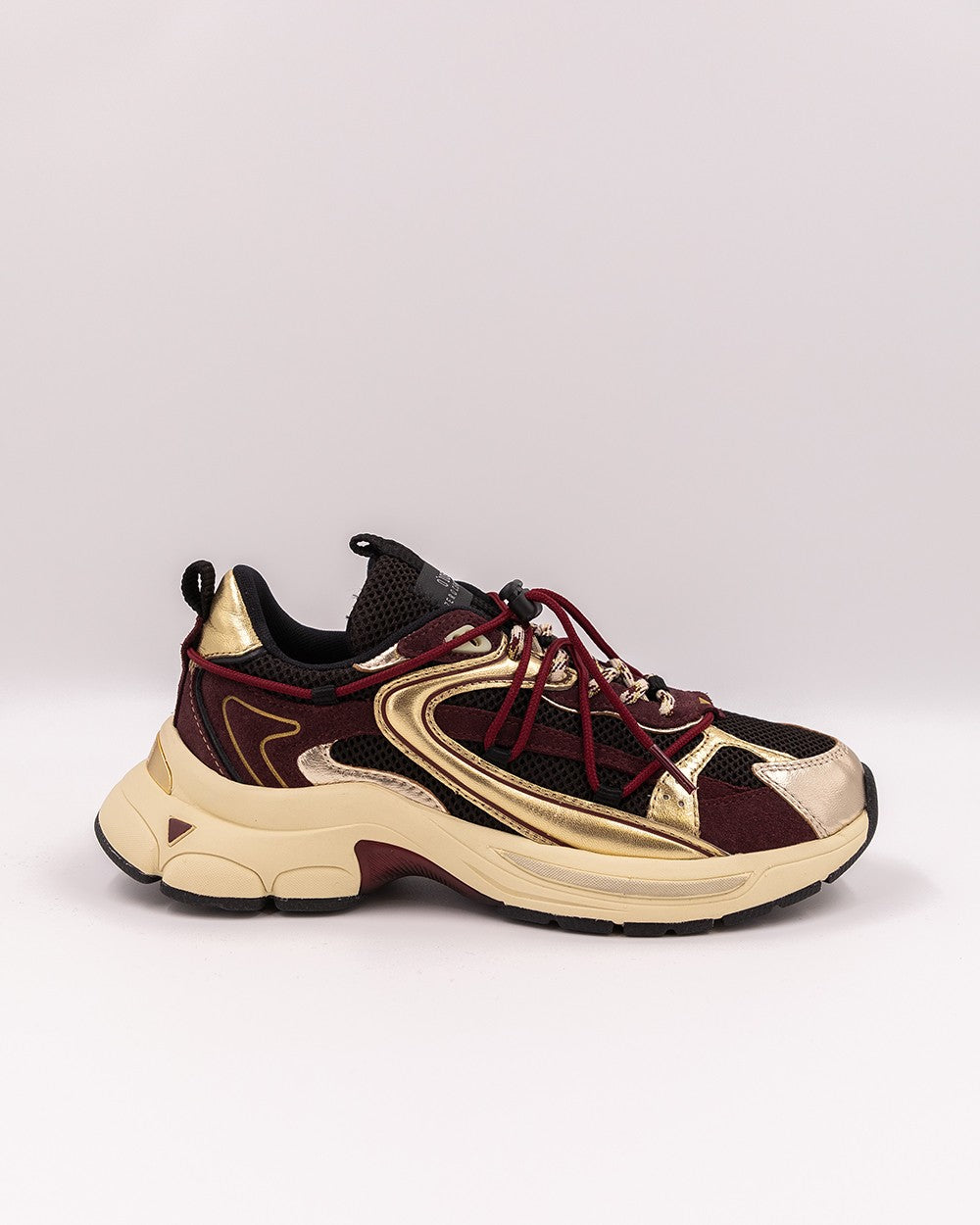 Spider Gold Wine sneakers