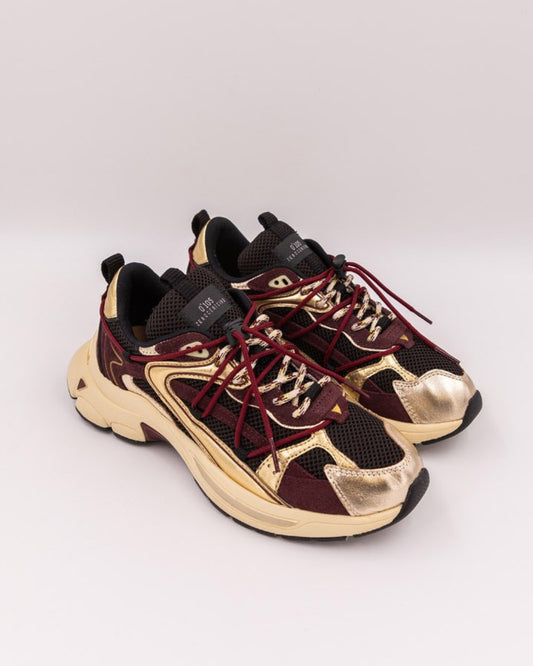 Spider Gold Wine sneakers
