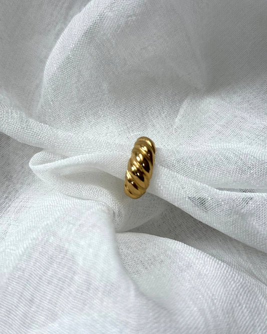 Ring Léon